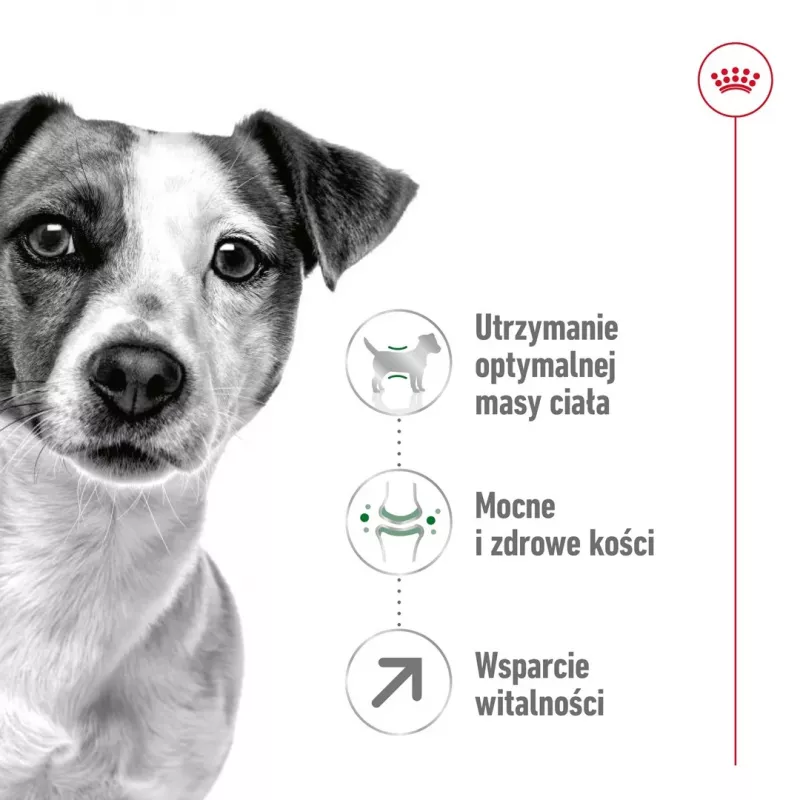 Sausas šunų ėdalas Royal Canin Mini Adult 8+ 2 kg – mažoms veislėms 5–10 kg, paukštiena, svorio kontrolės formulė