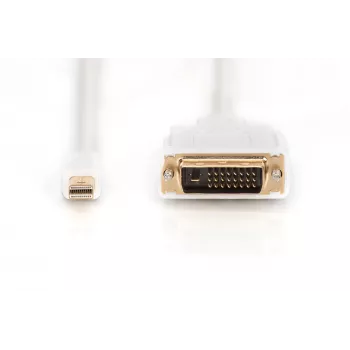 Kabelis DisplayPort 1.1a mini DP-DVI tipas MM 2.0m
