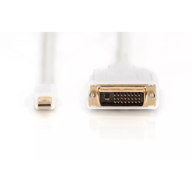 Kabelis DisplayPort 1.1a mini DP-DVI tipas MM 2.0m