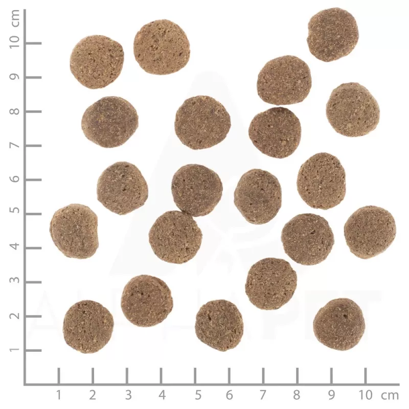 Sausas šunų ėdalas Wolfsblut VetLine Weight Management Turkey 12 kg, be grūdų, 22% baltymų, 8% riebalų