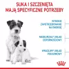 Sausas šunų ėdalas Royal Canin Starter Mother & Babydog 1 kg — Vištiena, 30% baltymų, 22% riebalų