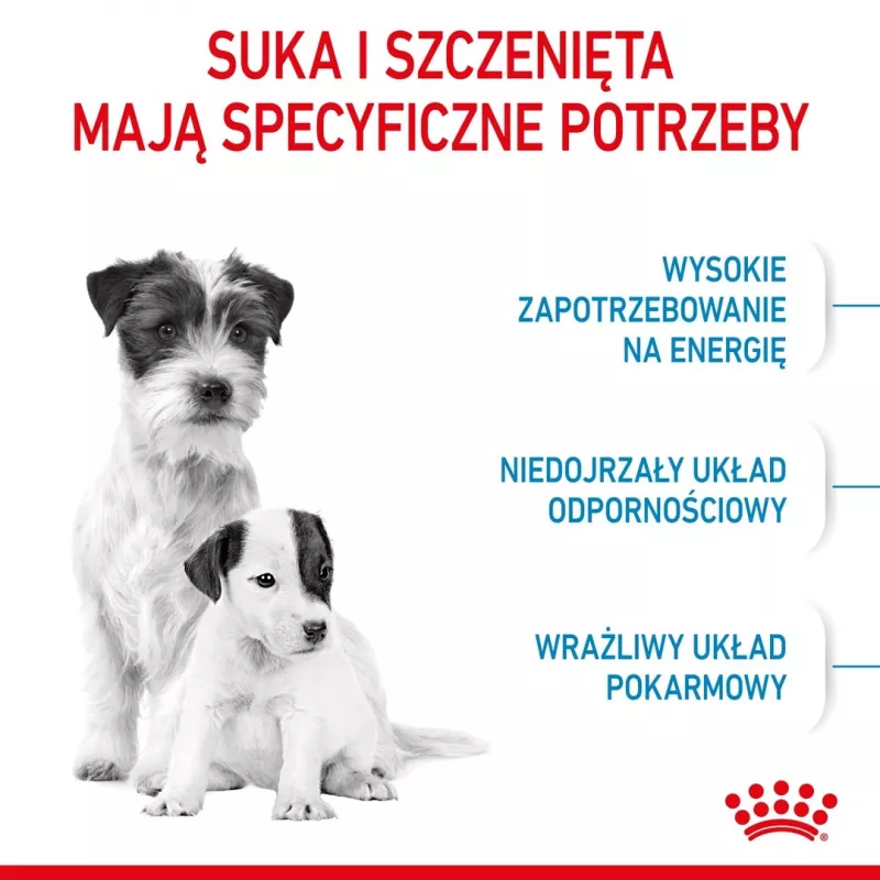 Sausas šunų ėdalas Royal Canin Starter Mother & Babydog 1 kg — Vištiena, 30% baltymų, 22% riebalų