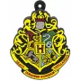 USB atmintukas Emtec 16 GB USB Type-A Harry Potter Collector Hogwarts