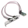 DeLOCK Mini PCIe pilno dydžio kortelė į 2 x Serial RS-232 D-Sub 9 kontaktų