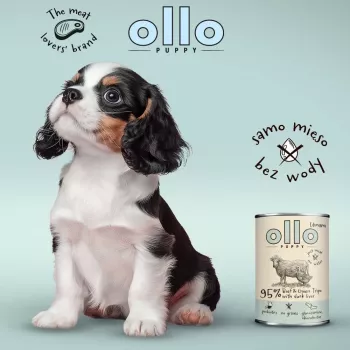 OLLO Puppy Umami jautiena su žaliuoju prieskrandžiu ir antienos kepenėlėmis - šlapi šunų ėdalas - 400g