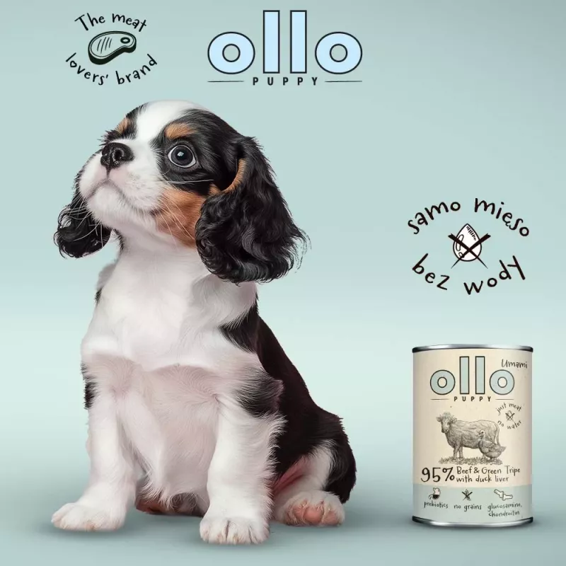 OLLO Puppy Umami jautiena su žaliuoju prieskrandžiu ir antienos kepenėlėmis - šlapi šunų ėdalas - 400g
