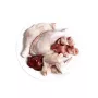 3COTY Chicken šlapias kačių maistas 80g