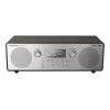 Radijo imtuvas / grotuvas RF-D100BTEGT Panasonic