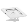 Tabletų sieninis laikiklis MACLEAN MC-475W, 7–10 colių, baltas