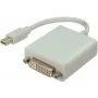 Mini DisplayPort / DVI laidas ShiverPeaks baltas