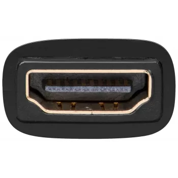 Wentronic Goobay HDMI™ / DVI-I adapteris, HDMI standartinis lizdas (A tipas), juodas - 19 kontaktų HDMI™ lizdas > DVI (24+5) lizdas (68690)