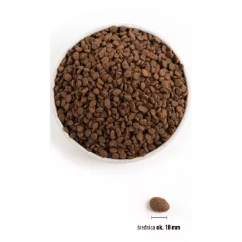 ORIJEN Regional Red Cat – sausas ėdalas katėms – 340 g