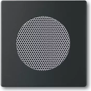 Sieninė plokštelė / jungiklio dangtelis Busch-Jaeger 8200-0-0126 — juoda, klasikinio dizaino, 63×63 mm