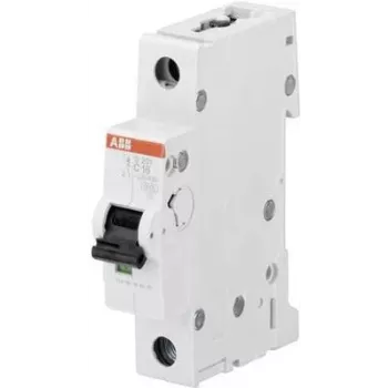 Automatinis jungiklis ABB 6A S201-C6 pro M 1 polius 6kA (2CDS251001R0064)