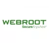 Webroot DNS Protection su GSM Console | 1 metai | Licencija 10-99 vartotojams