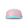 Belaidė pelė Baracuda BGM-124 Turtle Pink TURTLE-P