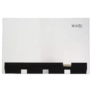 Kitas LC304356