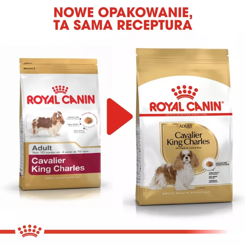 Sausas šunų ėdalas Royal Canin Cavalier King Charles Adult 1,5 kg — Vištiena, Mažos veislės, Oda ir kailis, Širdies palaikymas