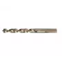 Gręžtuvas HSS 10,0 mm Extreme DEWALT