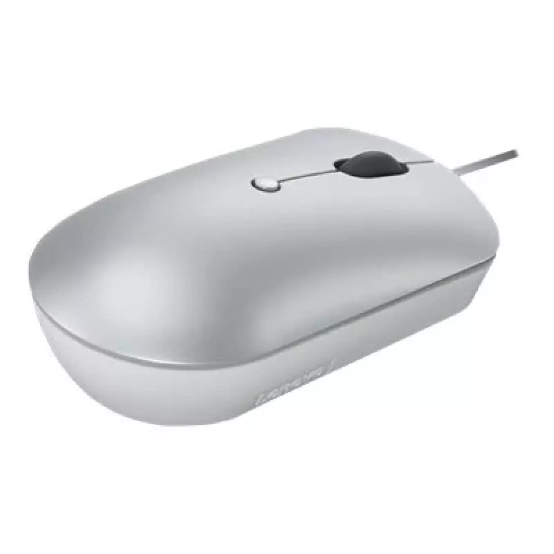 Laidinė optinė ambidekstrinė pelė Lenovo 540 USB Type-C, pilka, 4 mygtukai, 1,8 m laidas