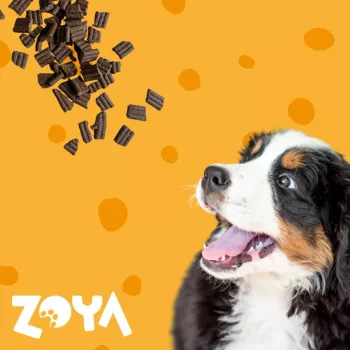 ZOYA ColdPRO Ėriena sausas šunų ėdalas 3 kg