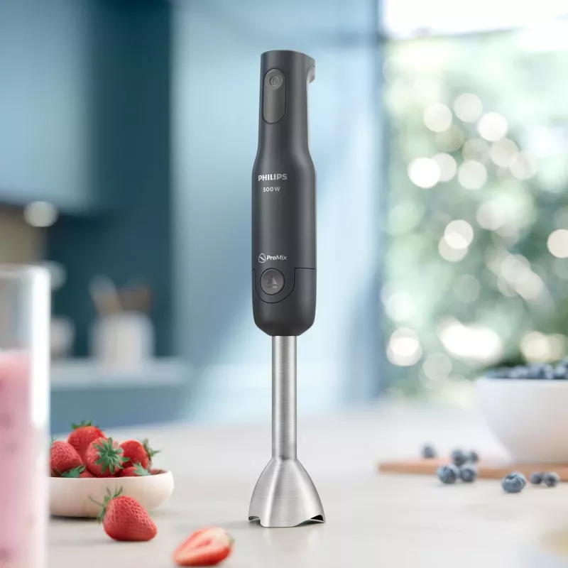 Philips 1000 serijos HR2522/00 panardintuvinis blenderis 500 W