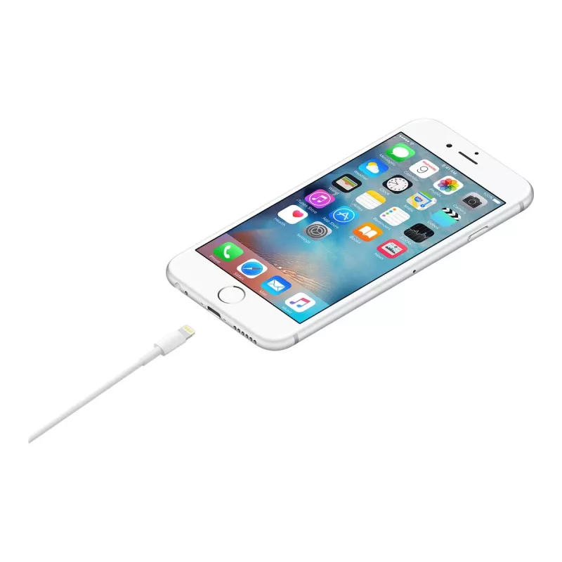 Apple Lightning į USB kabelis 1 m MUQW3ZM/A