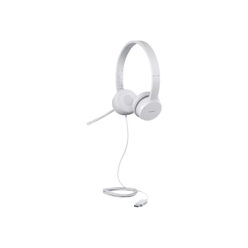 Lenovo GXD1E71385 ausinės / headset Laidinės USB-A Pilka