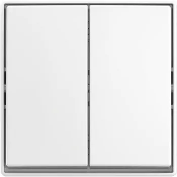 BUSCH JAEGER Jungiklis svirtinis AP 2601/5 J-524 (2TKA00005523)