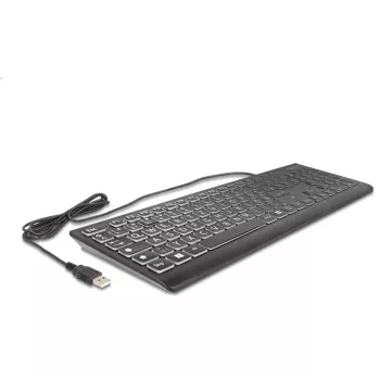 DeLOCK 12170 Klaviatūra universali USB QWERTZ vokiška juoda mechaninė RGB