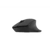 Natec Wireless Mouse Siskin 2 BT 5.0 + 2.4GHZ belaidė pelė