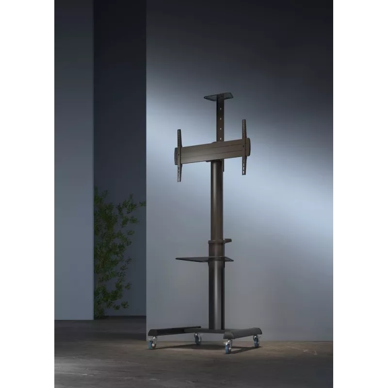 Grindinis TV stovas Gembird TVS-70T-02, 37–70 colių, 70 kg, VESA 200x200–600x400, pakreipimas ±5°/−12°, aukščio reguliavimas, ratukai, kabelių valdymas