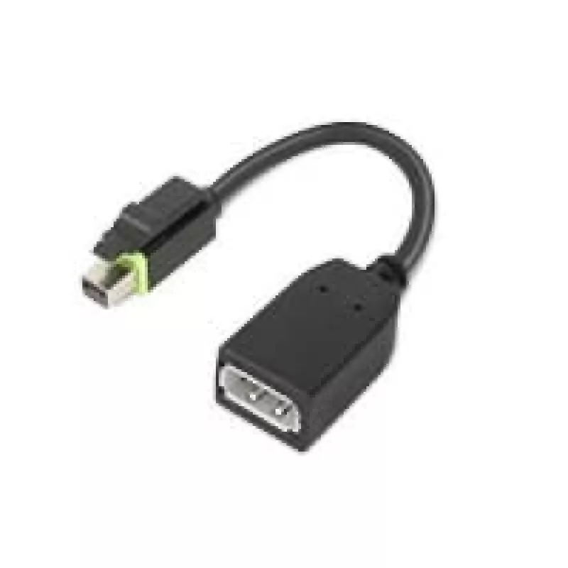 Lenovo 4X90Q93975 vaizdo kabelio adapteris Mini DisplayPort → DisplayPort, juodas