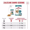 Šlapias kačių ėdalas Royal Canin FHN Ageing 11+ Gravy 12×85 g – senjorams skirti pilnaverčiai dubenėliai