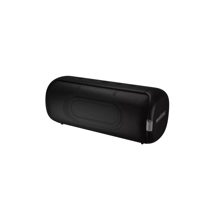 Nešiojamas stereo garsiakalbis Audictus Aurora Pro 20 W