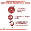Royal Canin Feline Fit 2kg suaugusių kačių sausas ėdalas