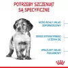 Royal Canin Medium Puppy sausas pašaras šuniukams 4 kg, kukurūzai, paukštiena