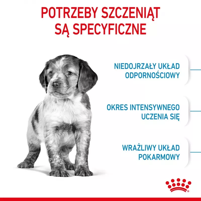 Royal Canin Medium Puppy sausas pašaras šuniukams 4 kg, kukurūzai, paukštiena