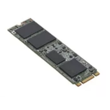 Fujitsu S26361-F5816-L240 vidinis kietojo kūno diskas 240 GB M.2 Serial ATA III