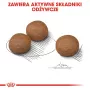 ROYAL CANIN CCN Medium Digestive Care - sausas šunų ėdalas - 3 kg
