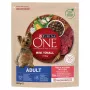 Sausas šunų ėdalas Purina Nestle Mini Adult Jautiena su Ryžiais 800 g