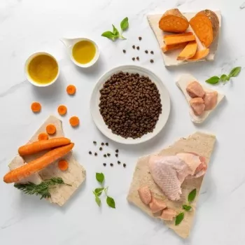 Sausas šunų ėdalas VETEXPERT RAW PALEO Ultra Mini Puppy Turkey 2 kg