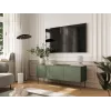 Cama RTV 3D TRESSE Spintelė 150x40x55 matinis žalias