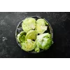 Sėklos Crisp Ice Lettuce Summer Toraf daržovių, 1g pakuotė
