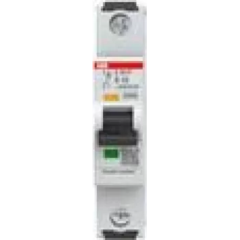 Automatinis jungiklis ABB S301P-B10 - B tipo - IP20 (2CDS381001R0105)