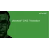 Webroot DNS Protection su GSM Console | 2 metai | Licencija 1-9 vartotojams