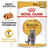 Šlapias ėdalas katėms Royal Canin British Shorthair Adult maišelyje 85 g, paukštiena, ROYAL CANIN Feline Breed Nutrition