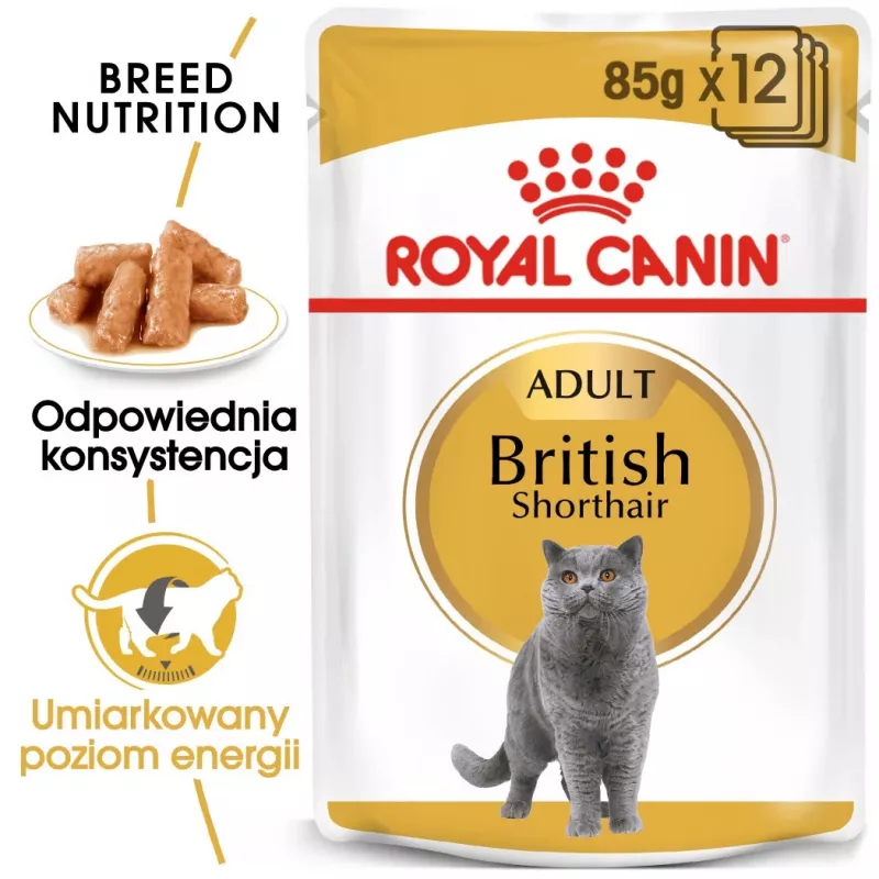Šlapias ėdalas katėms Royal Canin British Shorthair Adult maišelyje 85 g, paukštiena, ROYAL CANIN Feline Breed Nutrition