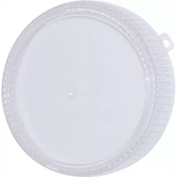 Pakeitimo spalvotas gaubtas EUROLITE Techno Strobe 94202020 — 205 mm skaidrus