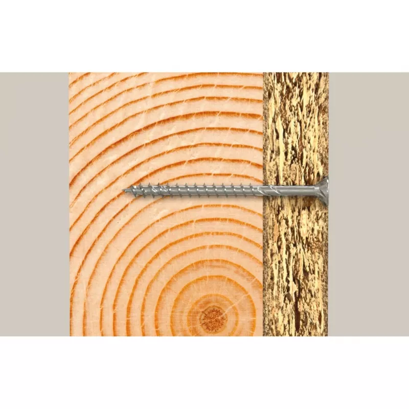 Fischer 670408 100 mm varžtai medienai